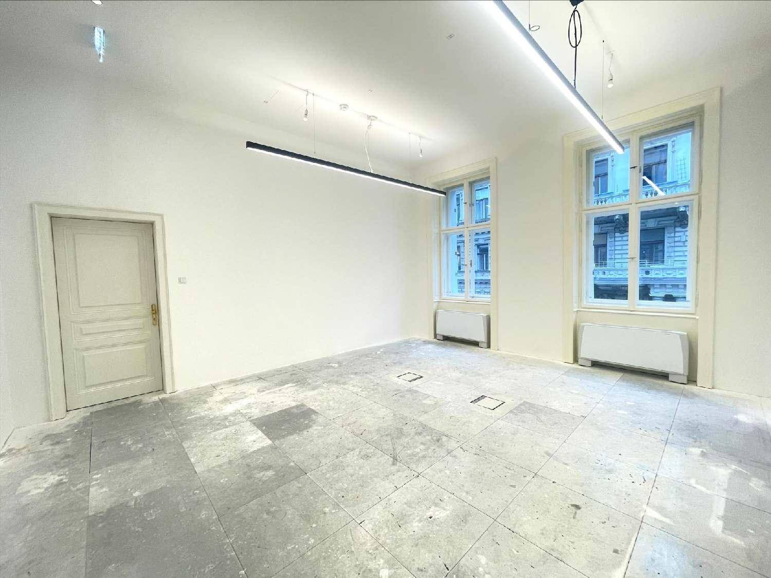 Heller Raum mit großen Fenstern und Fliesenboden, ausgestattet mit moderner Deckenbeleuchtung.