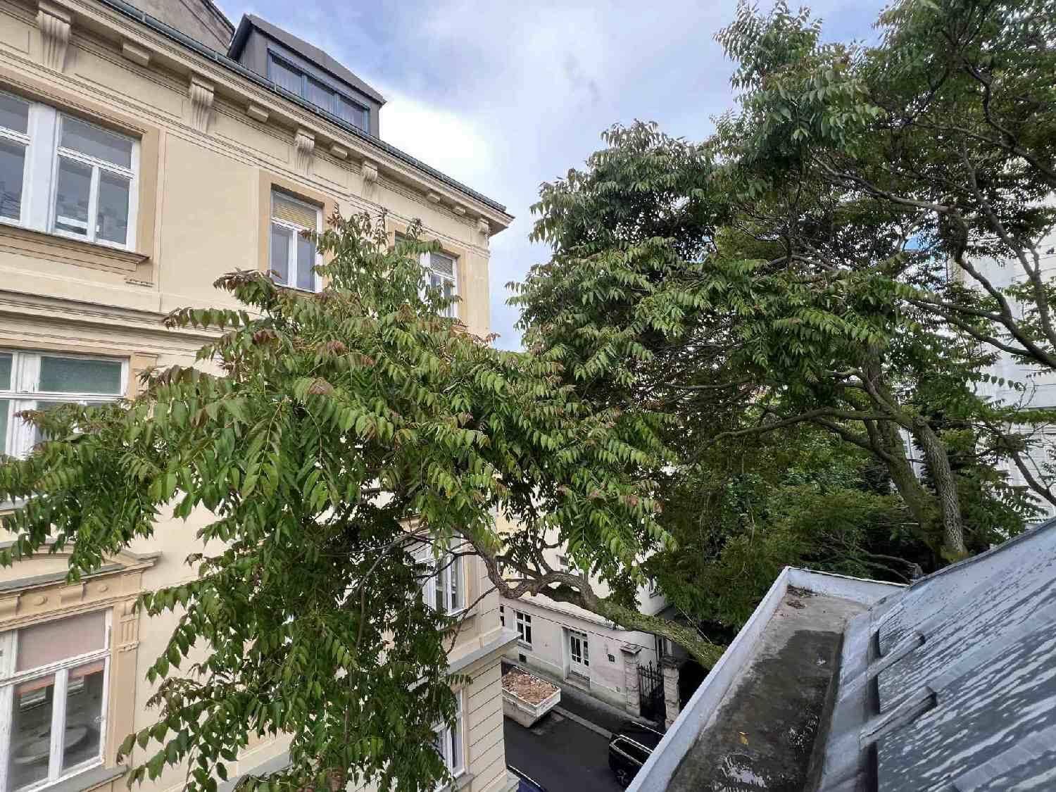 Blick auf eine Gebäudefassade und grüne Bäume von einem oberen Stockwerk.