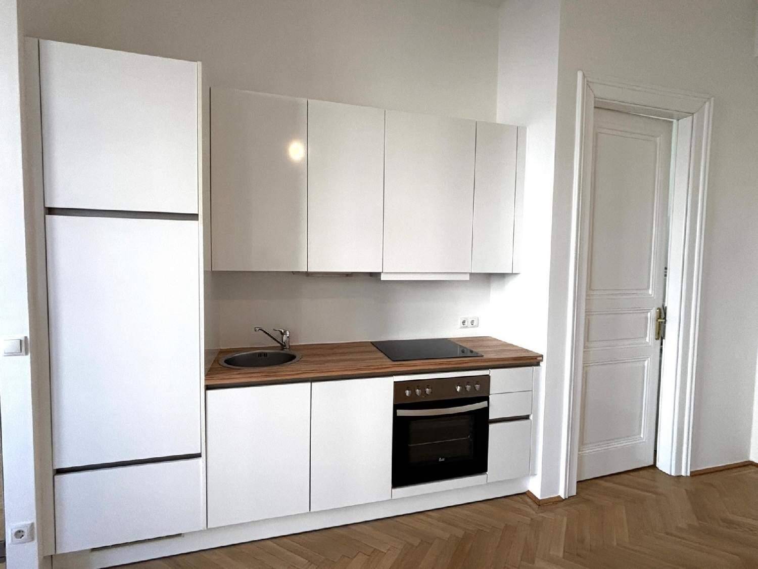 Detailansicht der modernen weißen Küchenzeile mit Holz-Arbeitsplatte und Einbaugeräten.