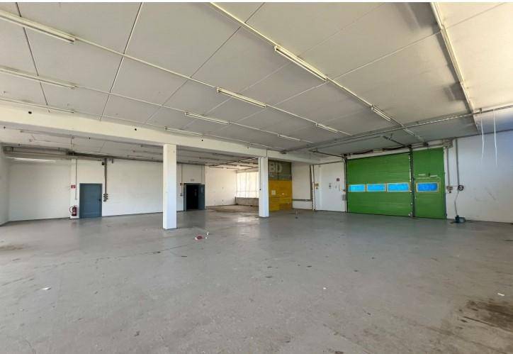 Große Lagerhalle mit Betonboden, hohen Decken und einem grünen Rolltor.