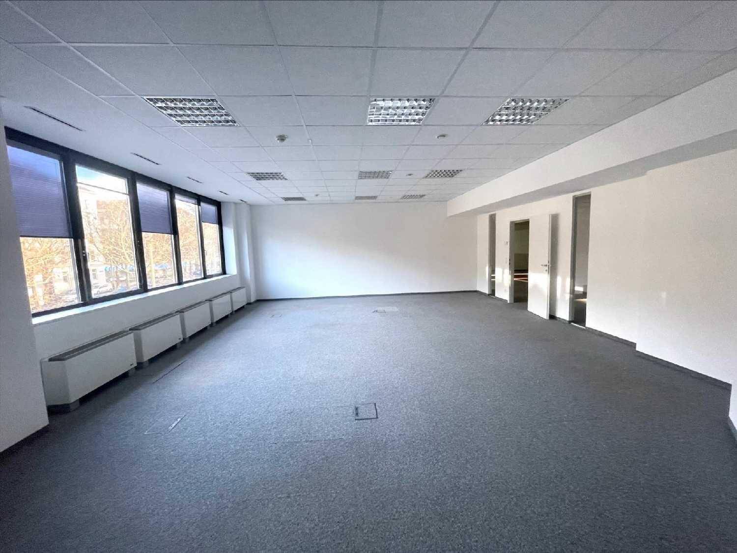 Geräumiger, heller Büroraum mit Teppichboden, großen Fenstern und Heizkörpern entlang der Wand.