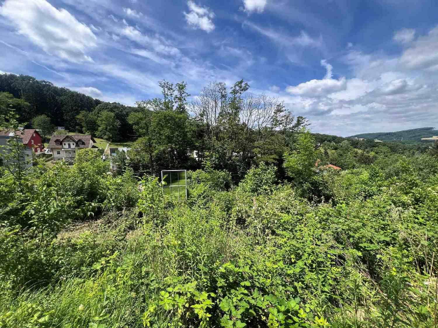 Panoramablick über eine grüne Landschaft mit Bäumen, Häusern und einem weiten Horizont.