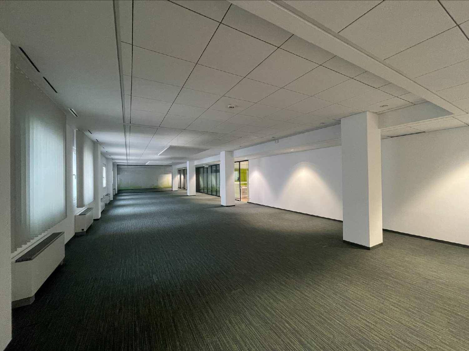 Geräumiges, leeres Büro mit Teppichboden, Säulen und Fenstern mit Jalousien.