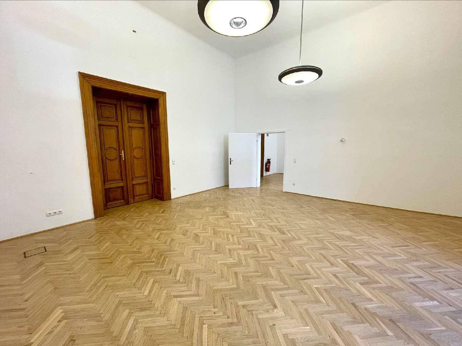 Heller Raum mit Fischgrätparkett und hohen Holztüren, der auf weitere Räume führt.
