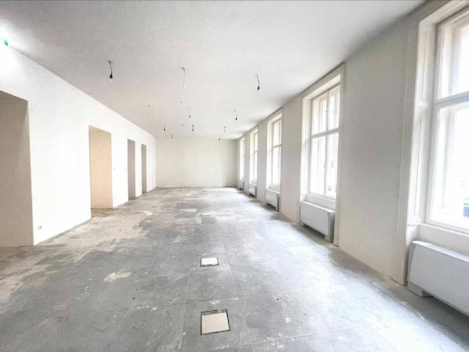 Großer, leerer Raum mit hohen Fenstern und unfertigem Betonboden, der auf den weiteren Ausbau wartet.