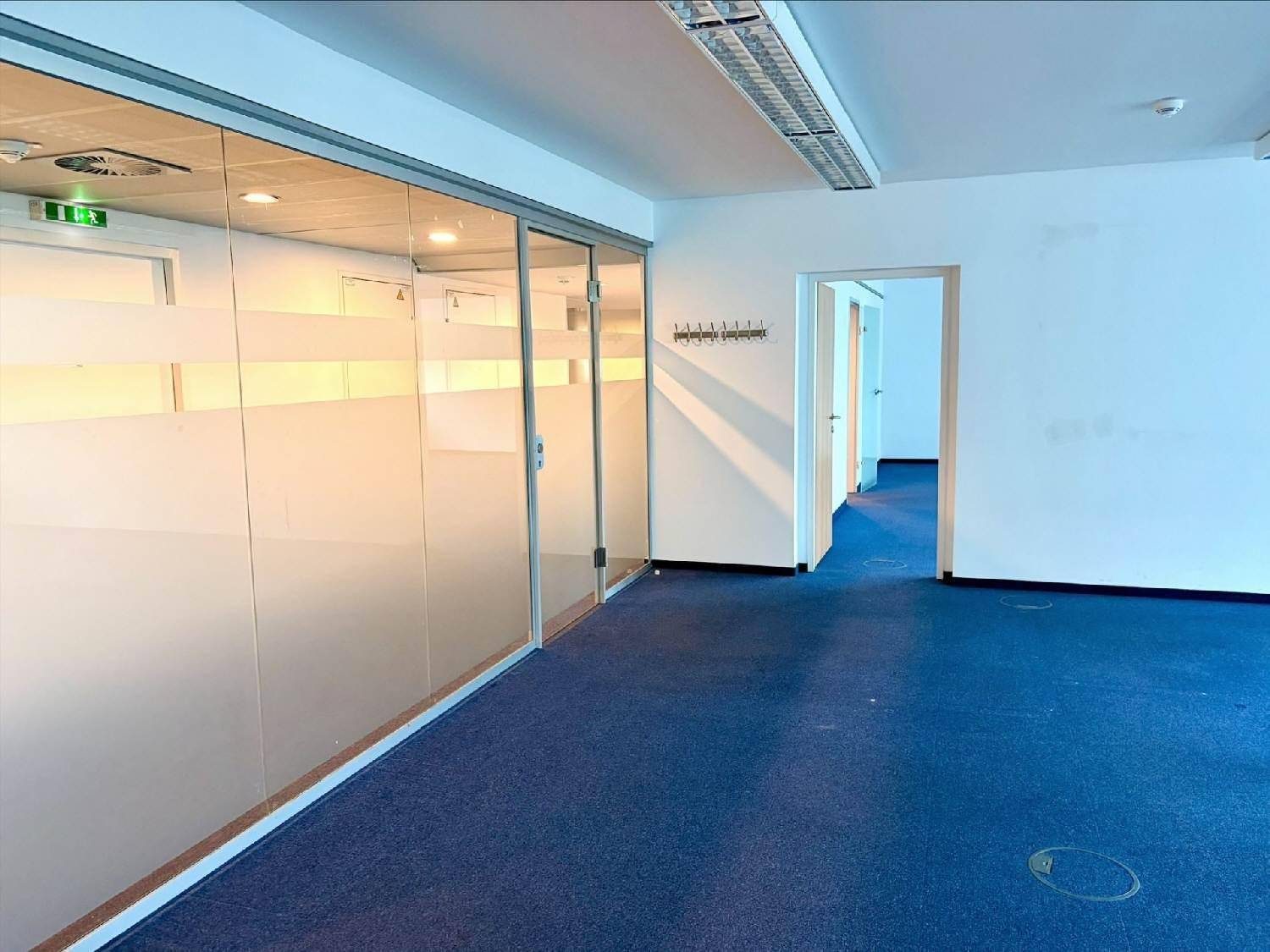 Büroraum mit einer Glasabtrennung, blauem Teppichboden und einem Garderobenhaken.