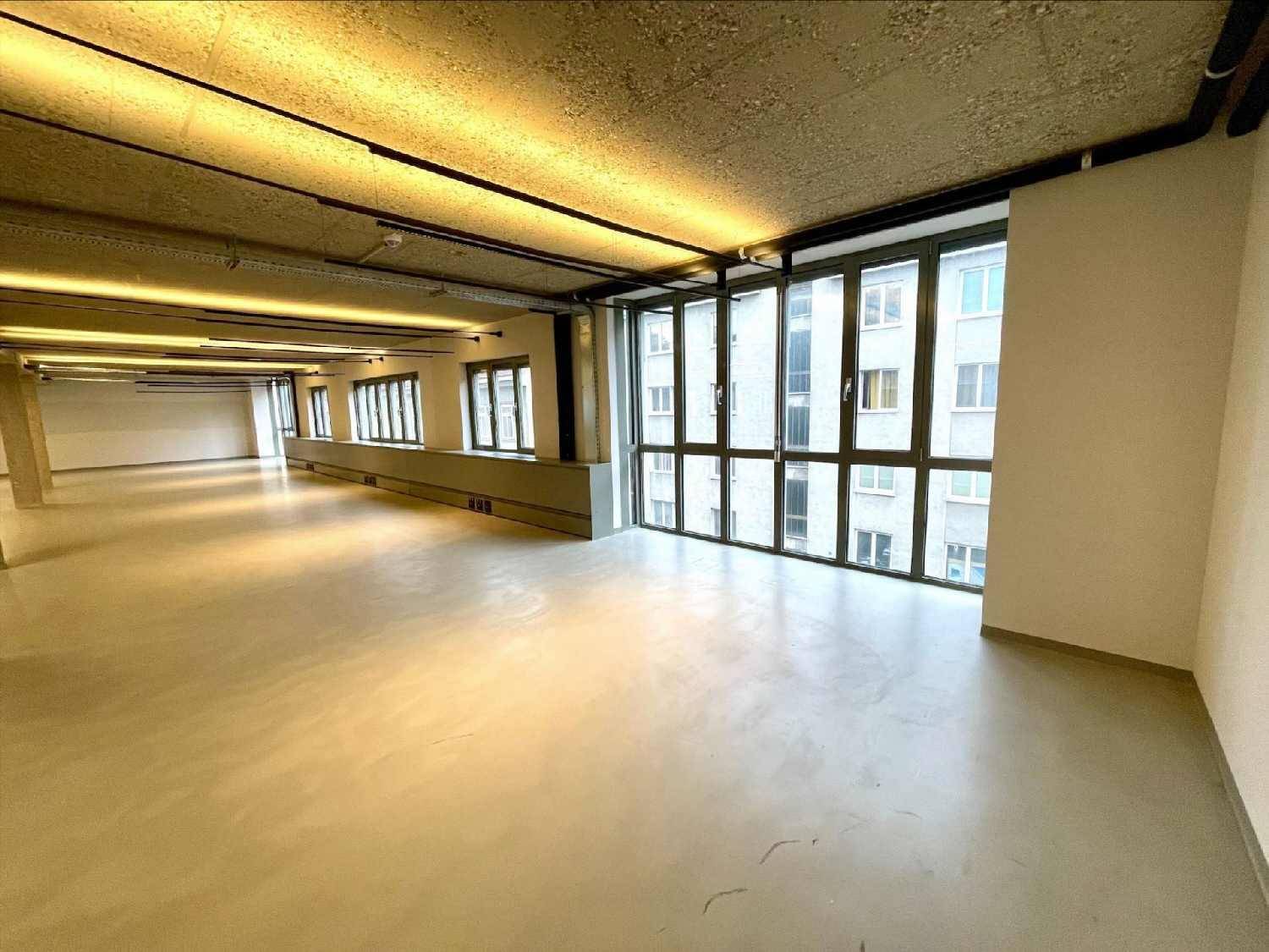 Heller Büroraum mit großen Fenstern, die viel Tageslicht hereinlassen.