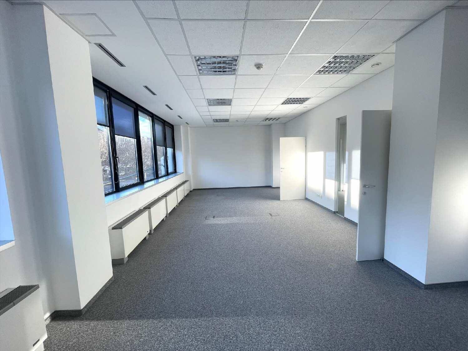 Großer, heller Büroraum mit Teppichboden, langen Fensterfronten und Heizkörpern unter den Fenstern.