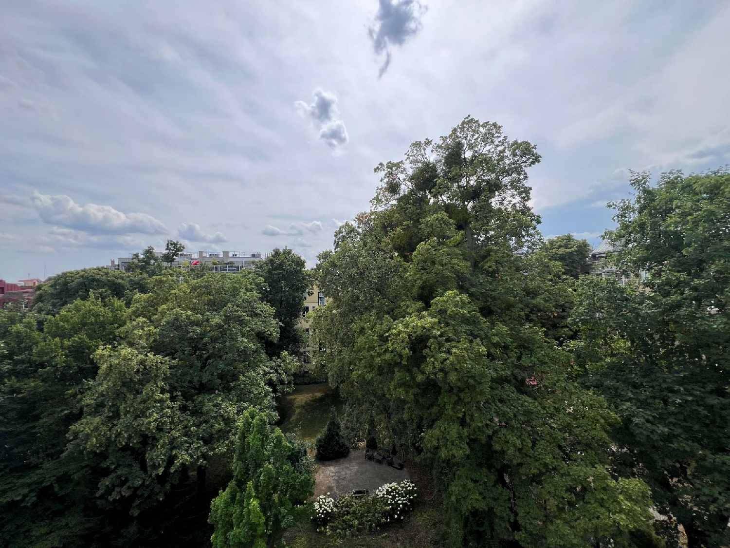 Weitläufiger Blick ins Grüne mit vielen Bäumen und umliegenden Gebäuden.