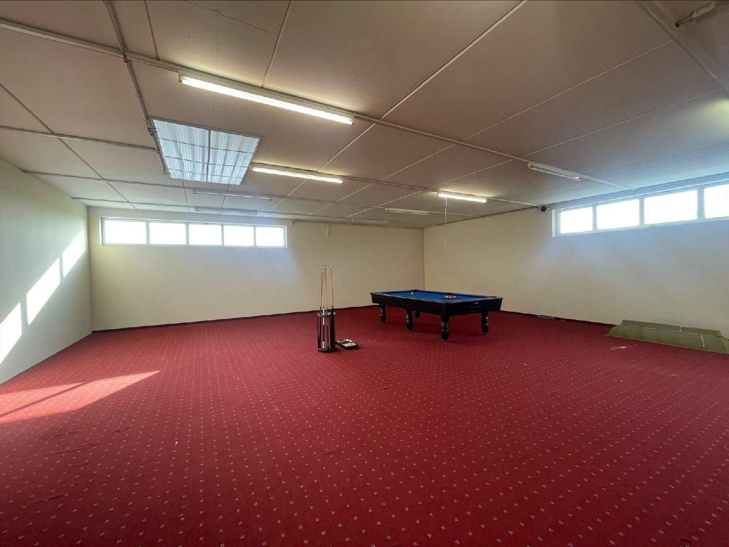 Freizeitraum mit Billardtisch, rotem Teppichboden und hohen Fenstern.
