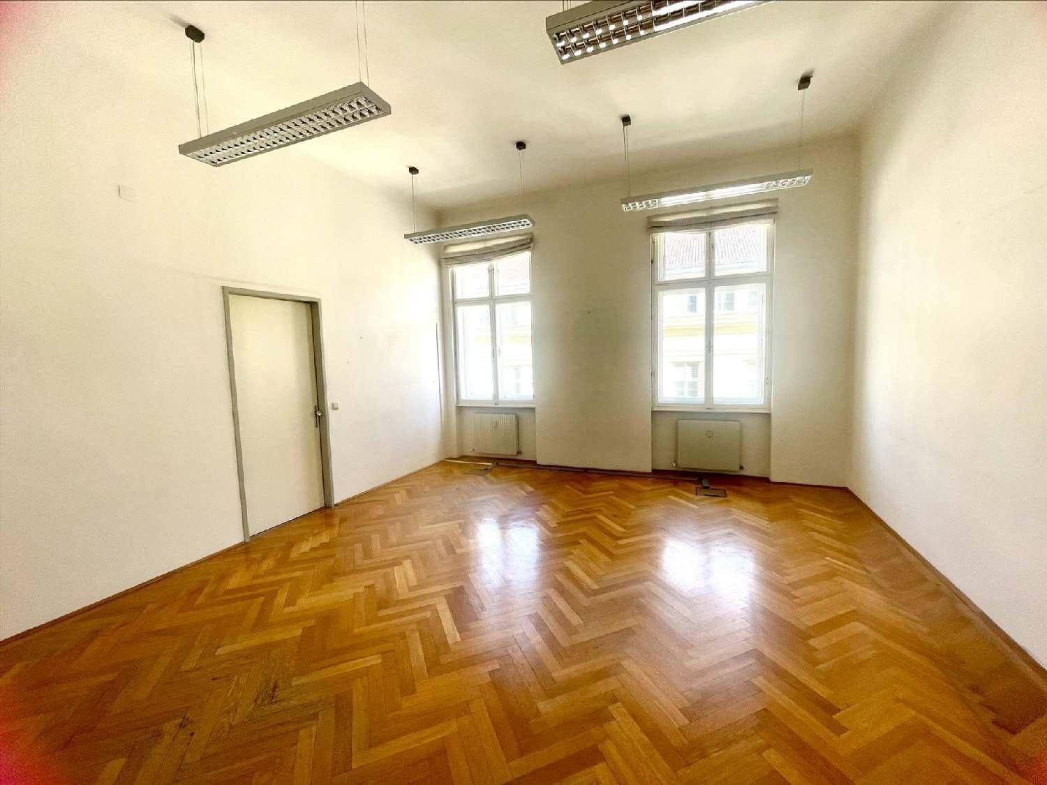Leeres Büro mit Fischgrätparkett, zwei großen Fenstern, weißer Tür und Deckenbeleuchtung.