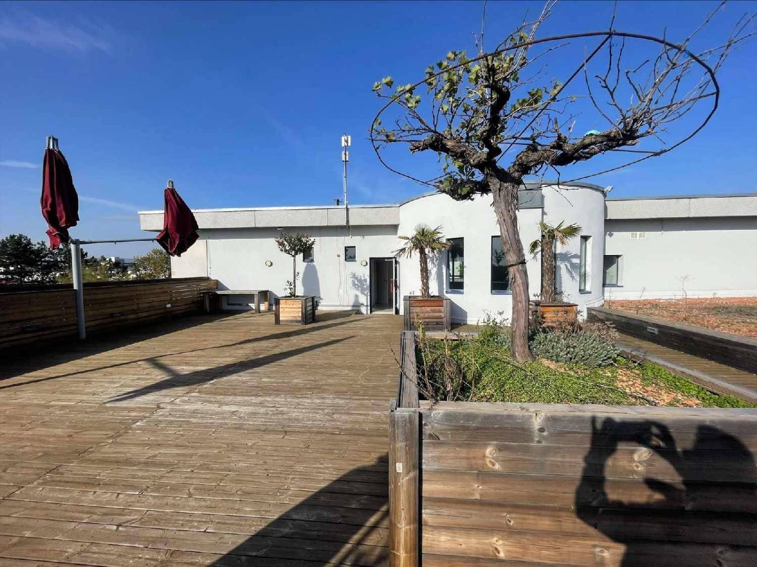 Weitläufige Dachterrasse mit Holzdeck, Pflanzen und Sonnenschirmen an einem sonnigen Tag.