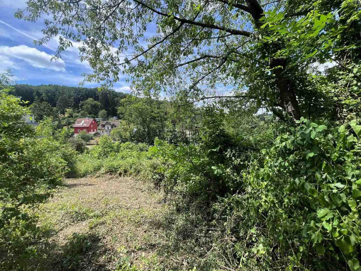 Panoramablick über eine bewaldete Gegend mit vereinzelten Häusern in der Ferne unter blauem Himmel.