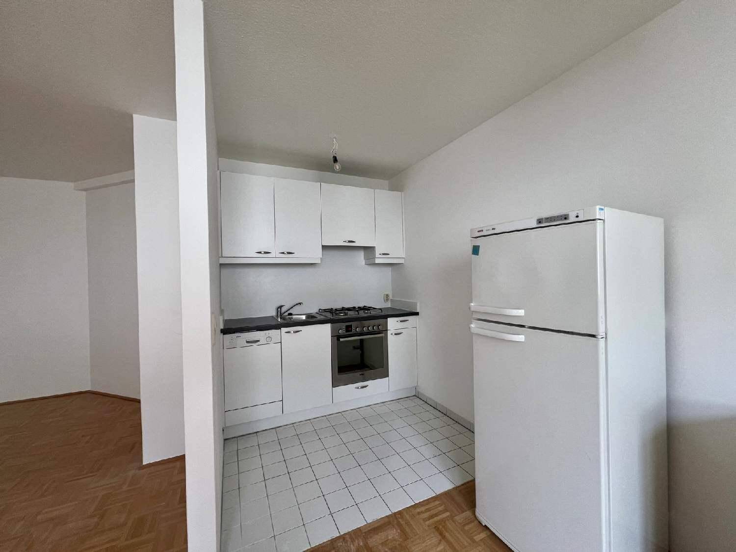 Kompakte Küchenzeile mit weißen Schränken, Herd, Backofen, Geschirrspüler und Kühlschrank.