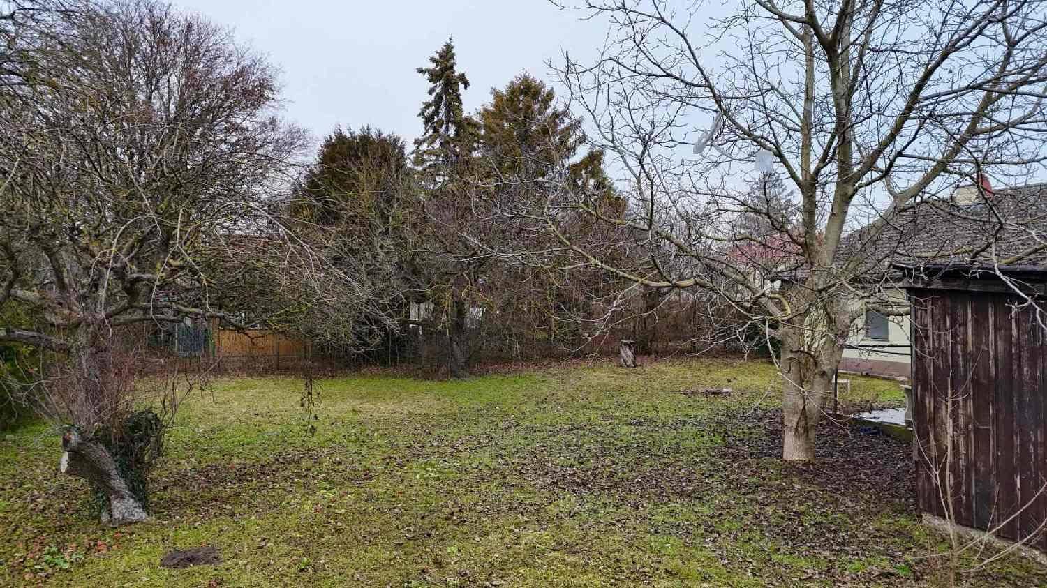 Ein Grundstück, auf dem Träume wachsen - Ansicht 4