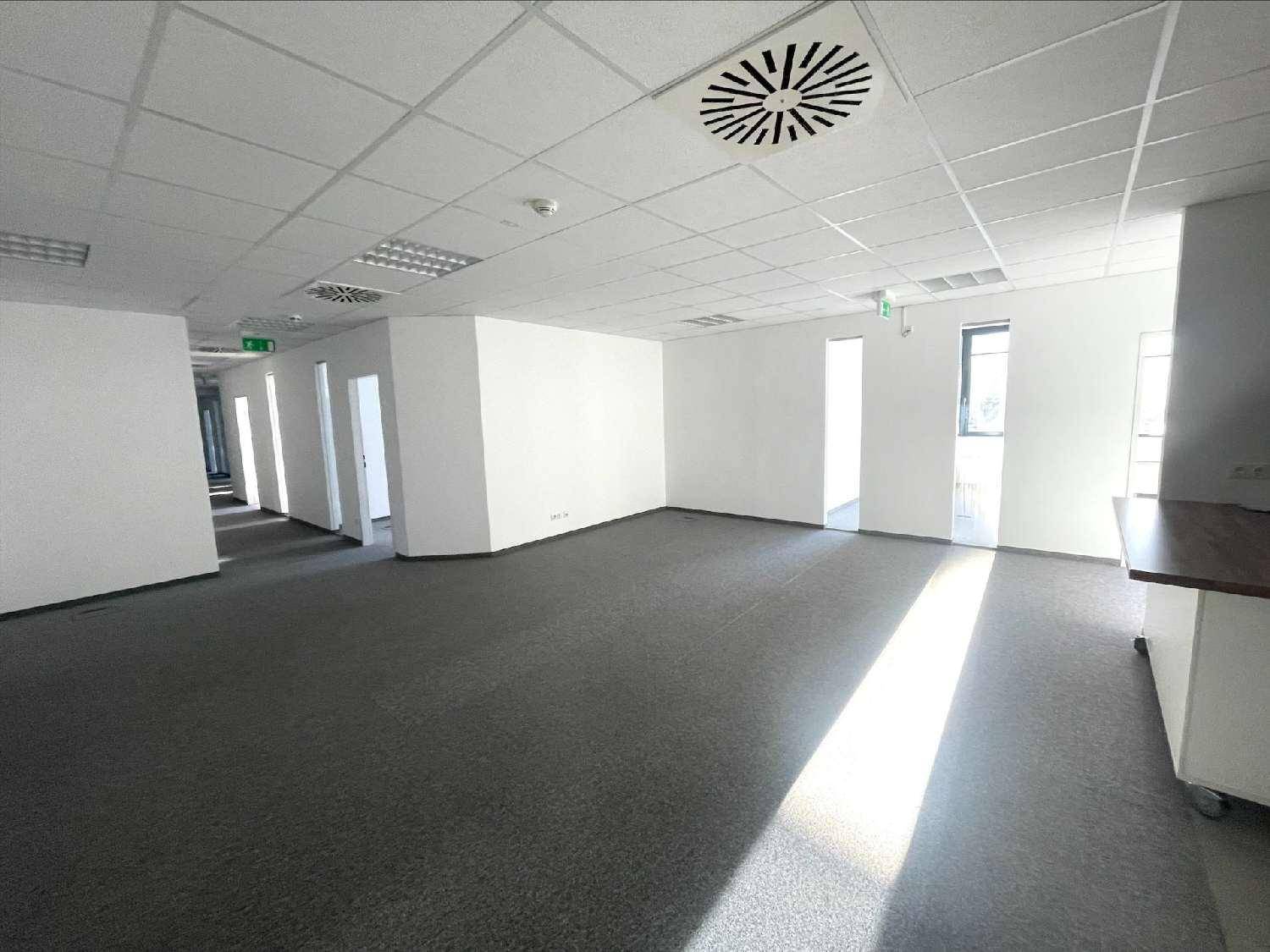 Weitläufiger Bürobereich mit Teppichboden, weißen Wänden und mehreren Türen zu angrenzenden Räumen.