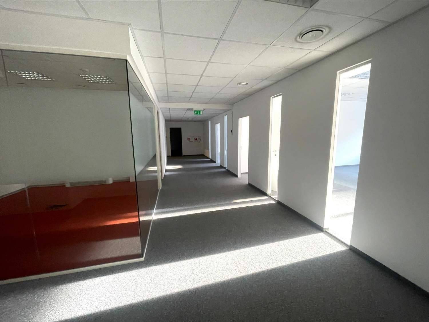 Heller Bürogang mit Teppichboden, weißen Wänden und einer modernen Glaswand zu einem angrenzenden Büro.