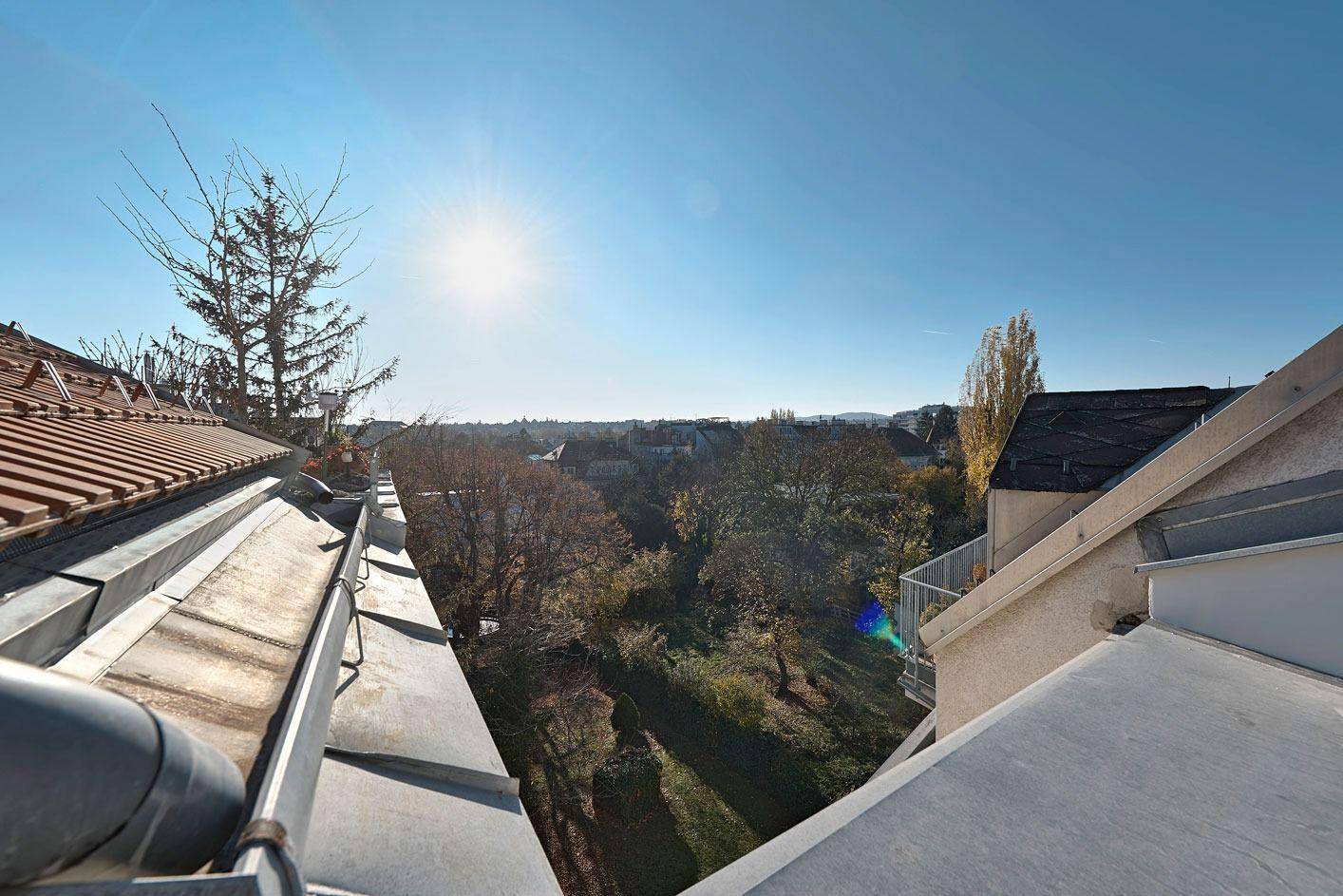 Weitläufiger Blick über die Baumwipfel und die Stadt von der Dachterrasse.