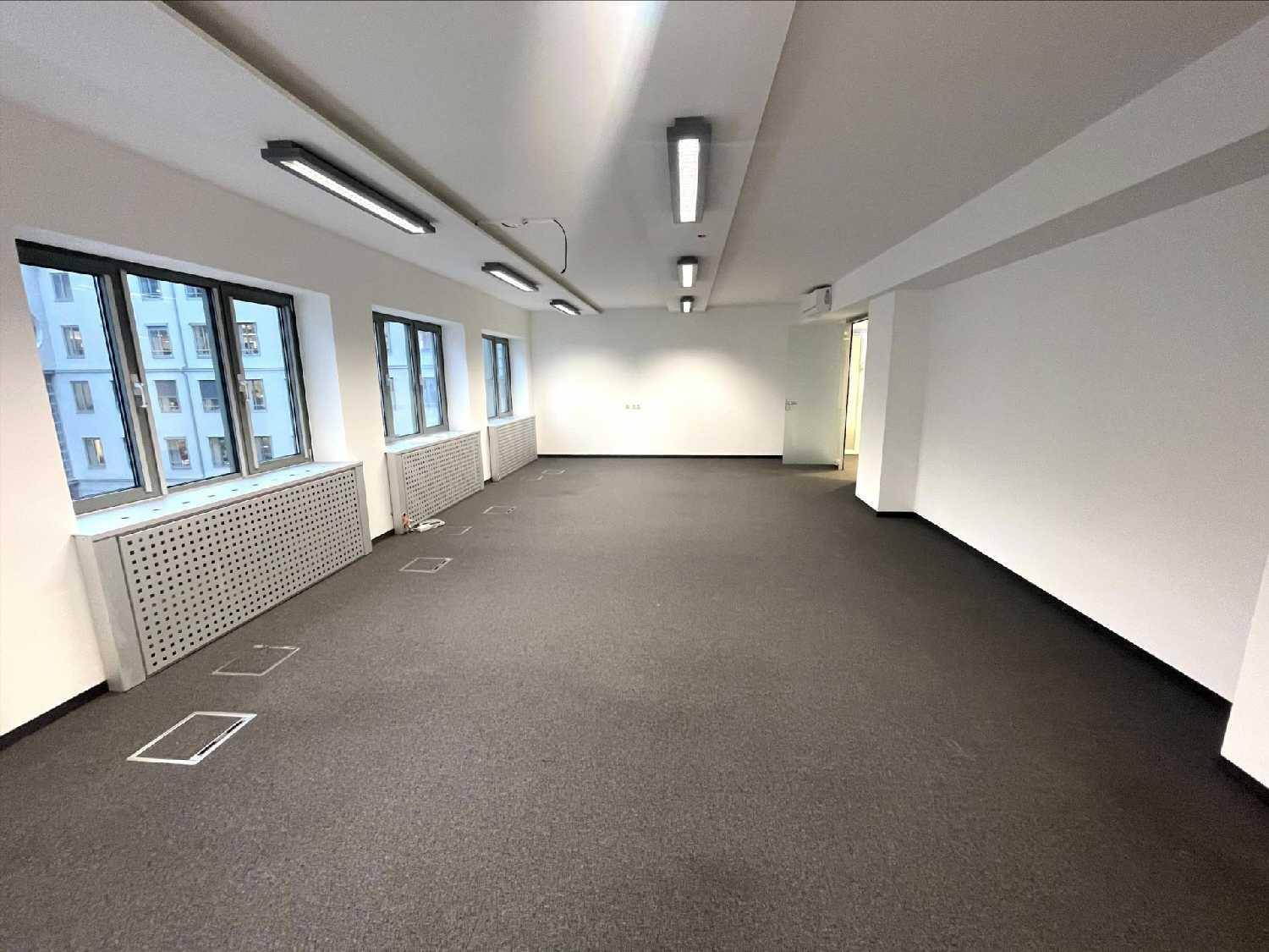 Heller Büroraum mit Teppichboden, mehreren Fenstern und moderner Deckenbeleuchtung.