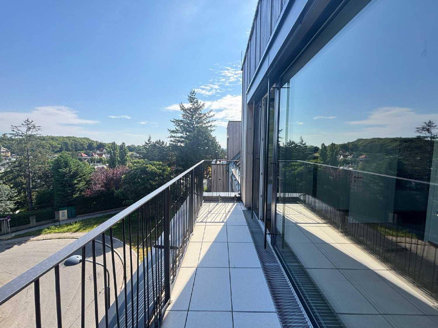 Blick von der Terrasse über grüne Baumwipfel und die umliegende Wohngegend an einem sonnigen Tag.