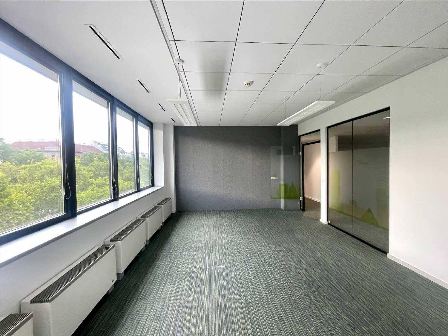 Geräumiges Büro mit großen Fenstern, Teppichboden und Blick ins Grüne.