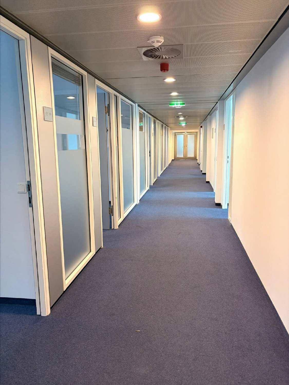 Langer Bürogang mit vielen Türen, Milchglasfenstern und durchgehendem Teppichboden.