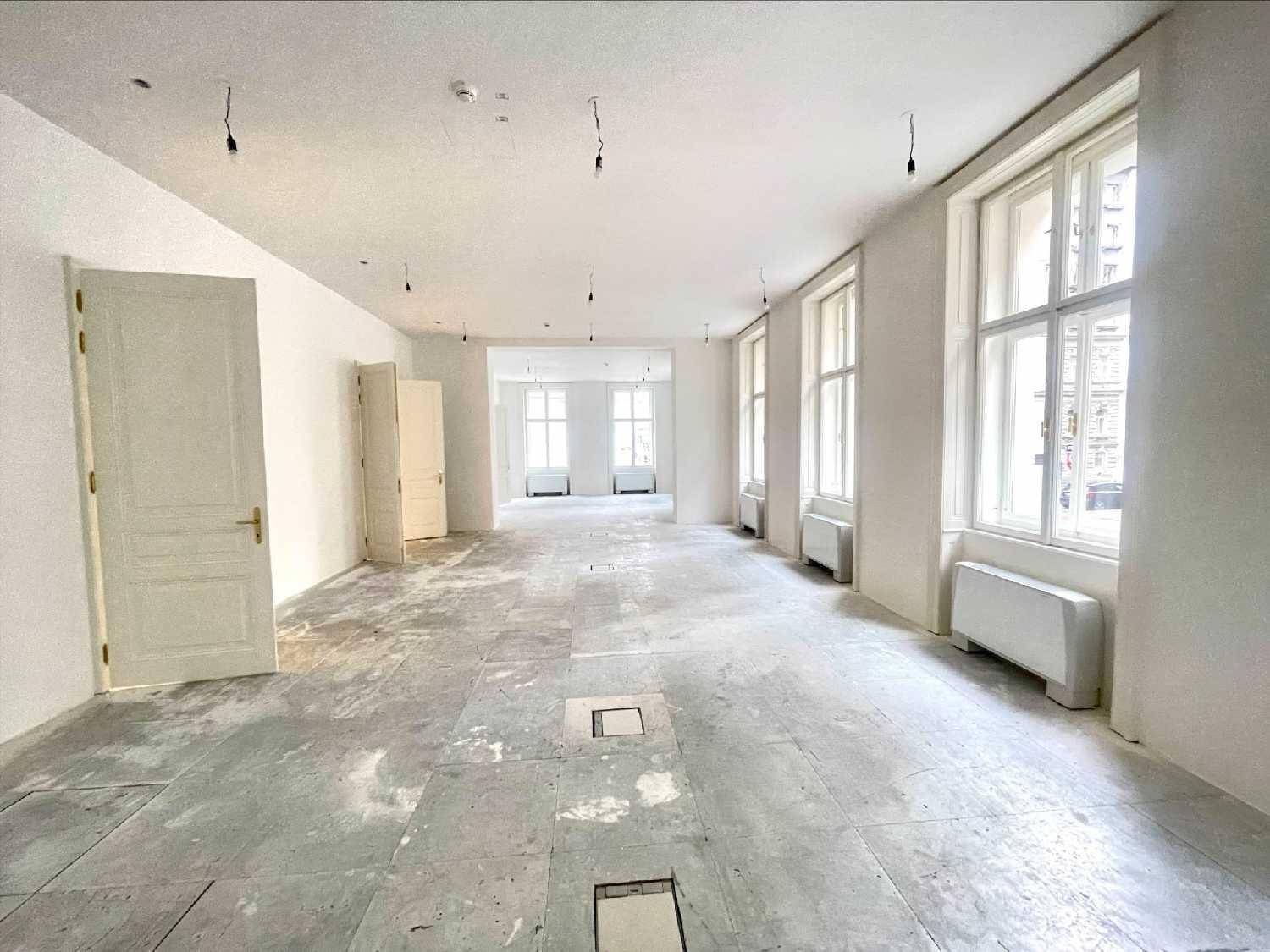 Geräumiger, leerer Raum mit hohen Fenstern und unfertigem Boden, der auf die Fertigstellung wartet.