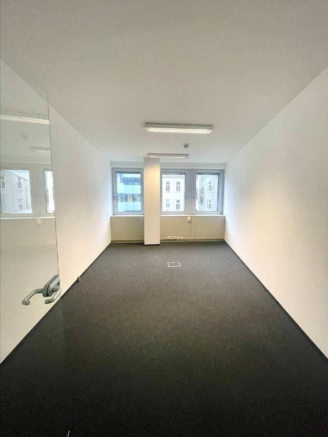 Kleineres Büro mit Teppichboden, weißen Wänden und drei Fenstern, die Tageslicht hereinlassen.
