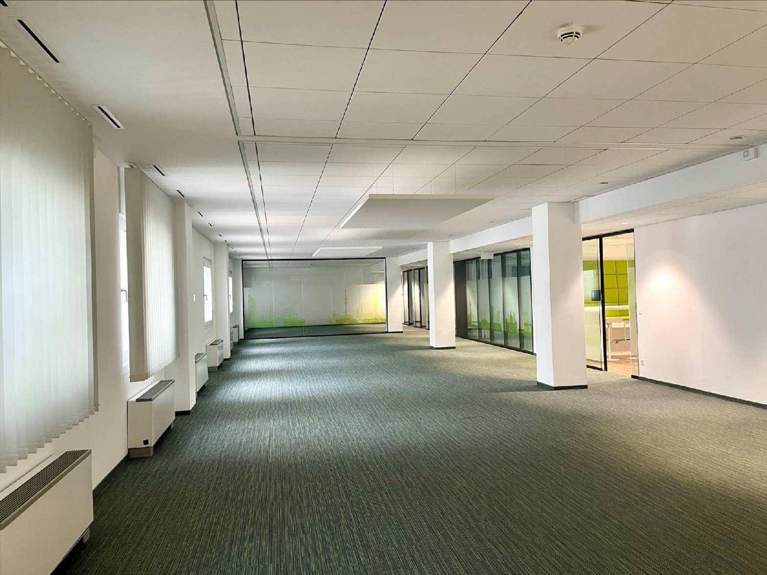 Großes, leeres Büro mit Teppichboden, Säulen und vielen Fenstern.