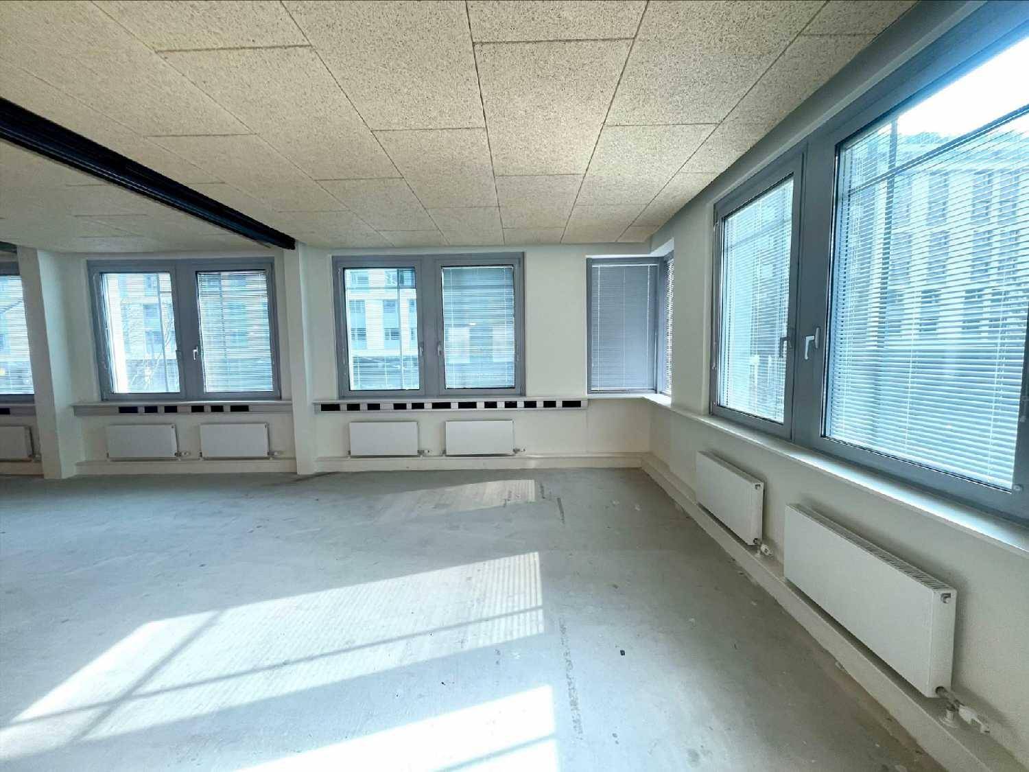 Heller, leerer Raum mit zahlreichen Fenstern, die viel Tageslicht hereinlassen, und einer strukturierten Decke.