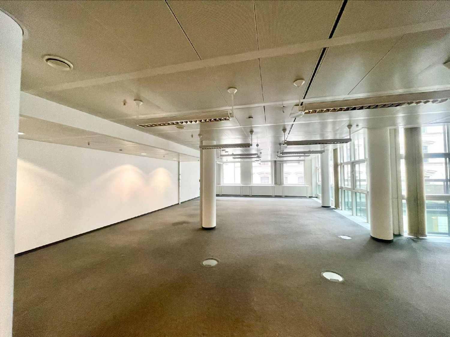 Großer, heller Büroraum mit Teppichboden, Säulen und breiten Fensterfronten, ideal für moderne Arbeitskonzepte.