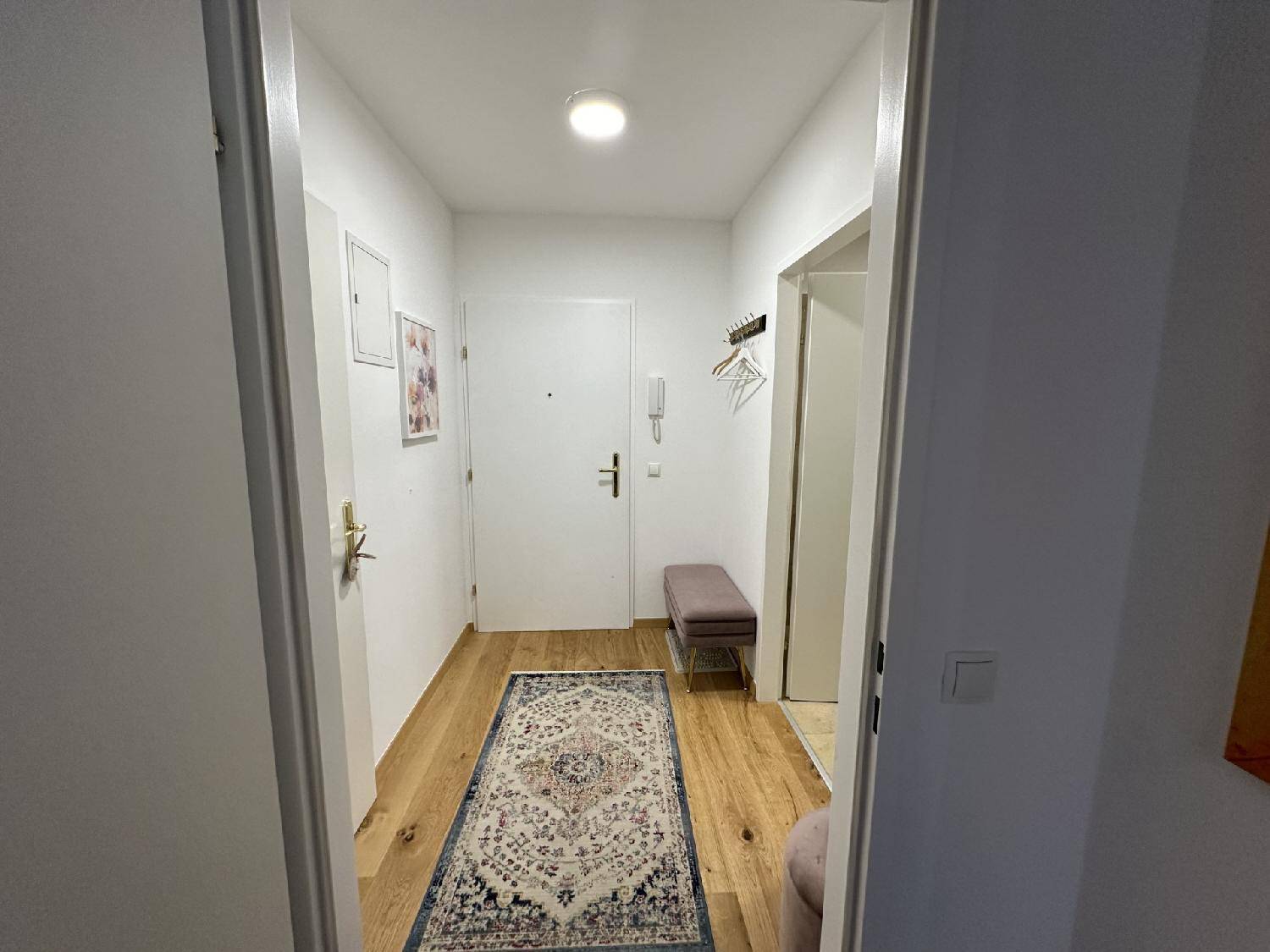 Heller Flur mit Holzboden, Teppich und Eingangstür, der zu den weiteren Räumen führt.