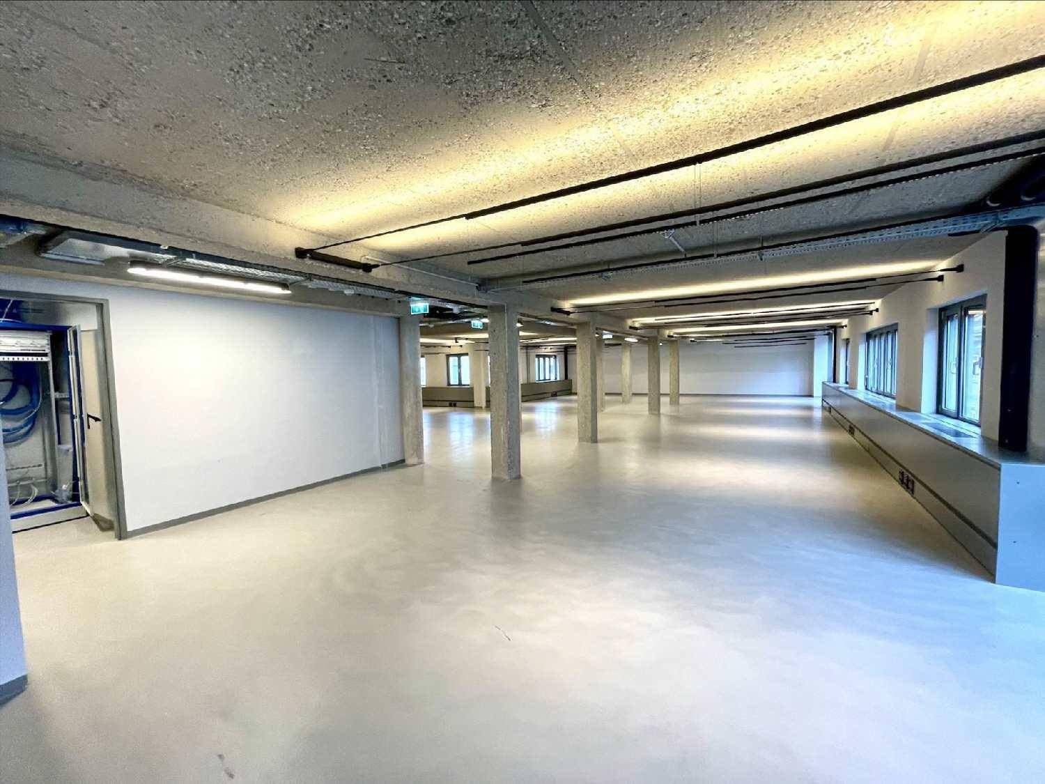 Weitläufiger Bürobereich mit Sichtbetondecke, Säulen und integrierter Beleuchtung.