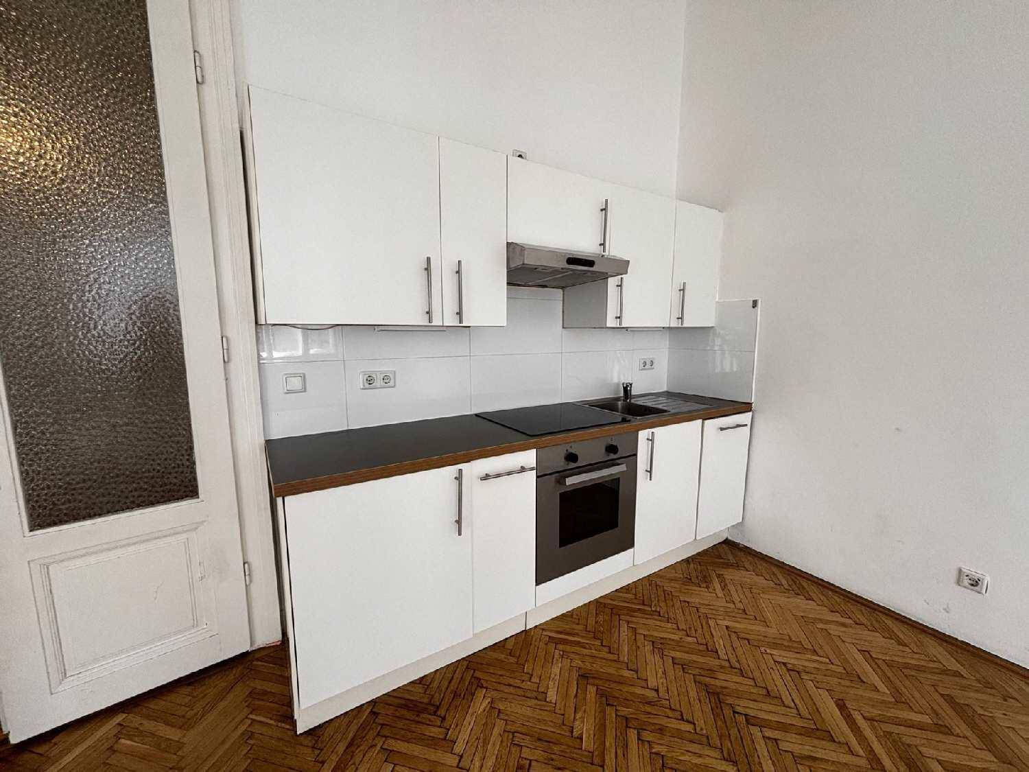 Kompakte, moderne Küche mit weißen Schränken, Induktionskochfeld und integriertem Backofen.