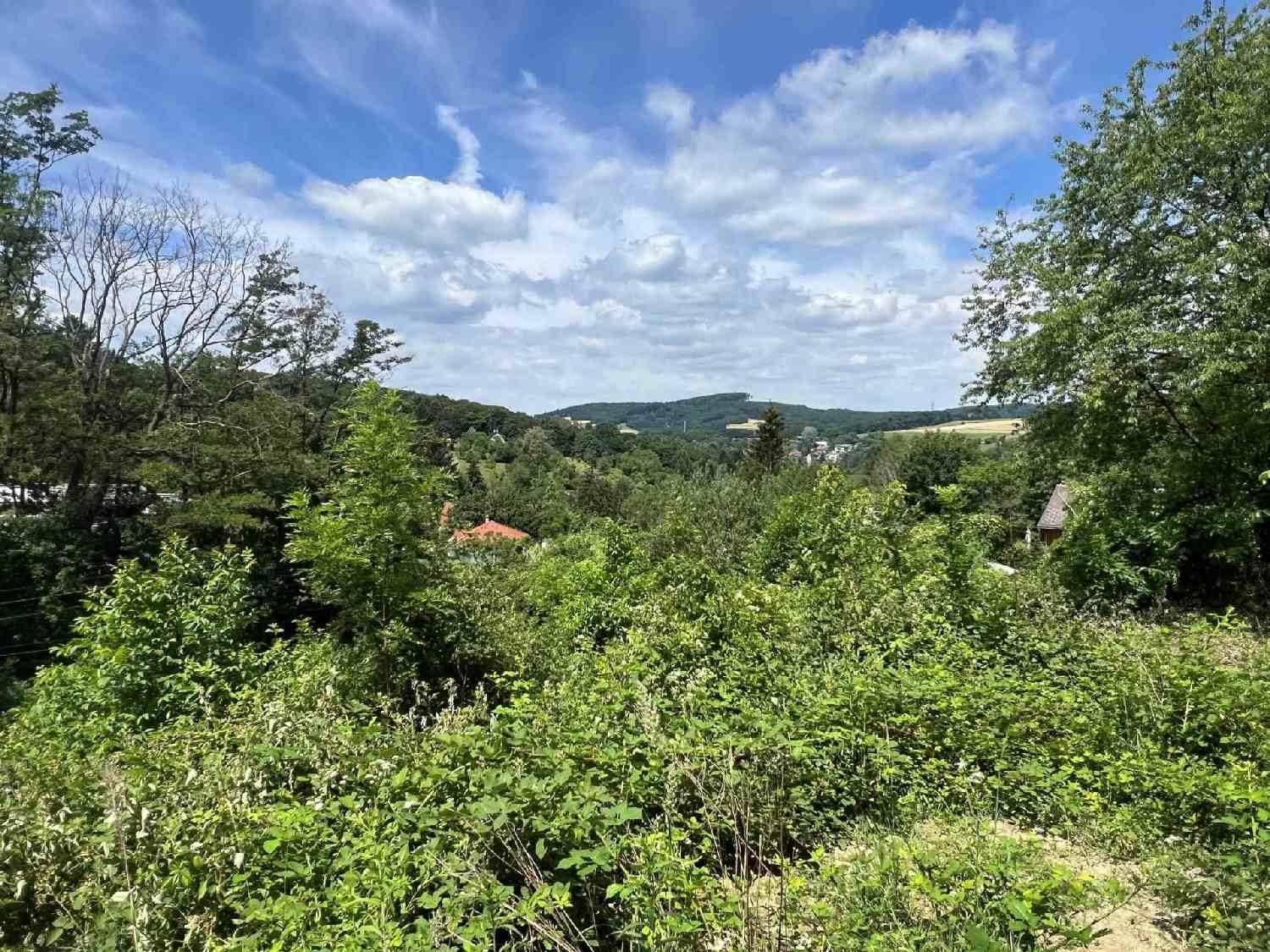 Weitblick über eine bewaldete Hügellandschaft mit vereinzelten Gebäuden und Feldern in der Ferne.