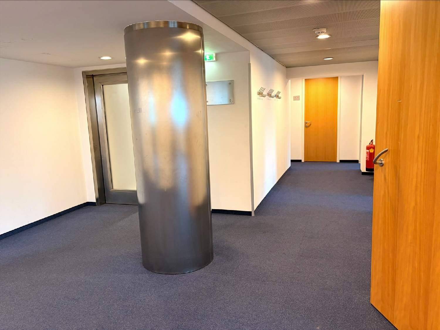 Flur mit einem großen metallischen Pfeiler, blauem Teppichboden und Holztüren.