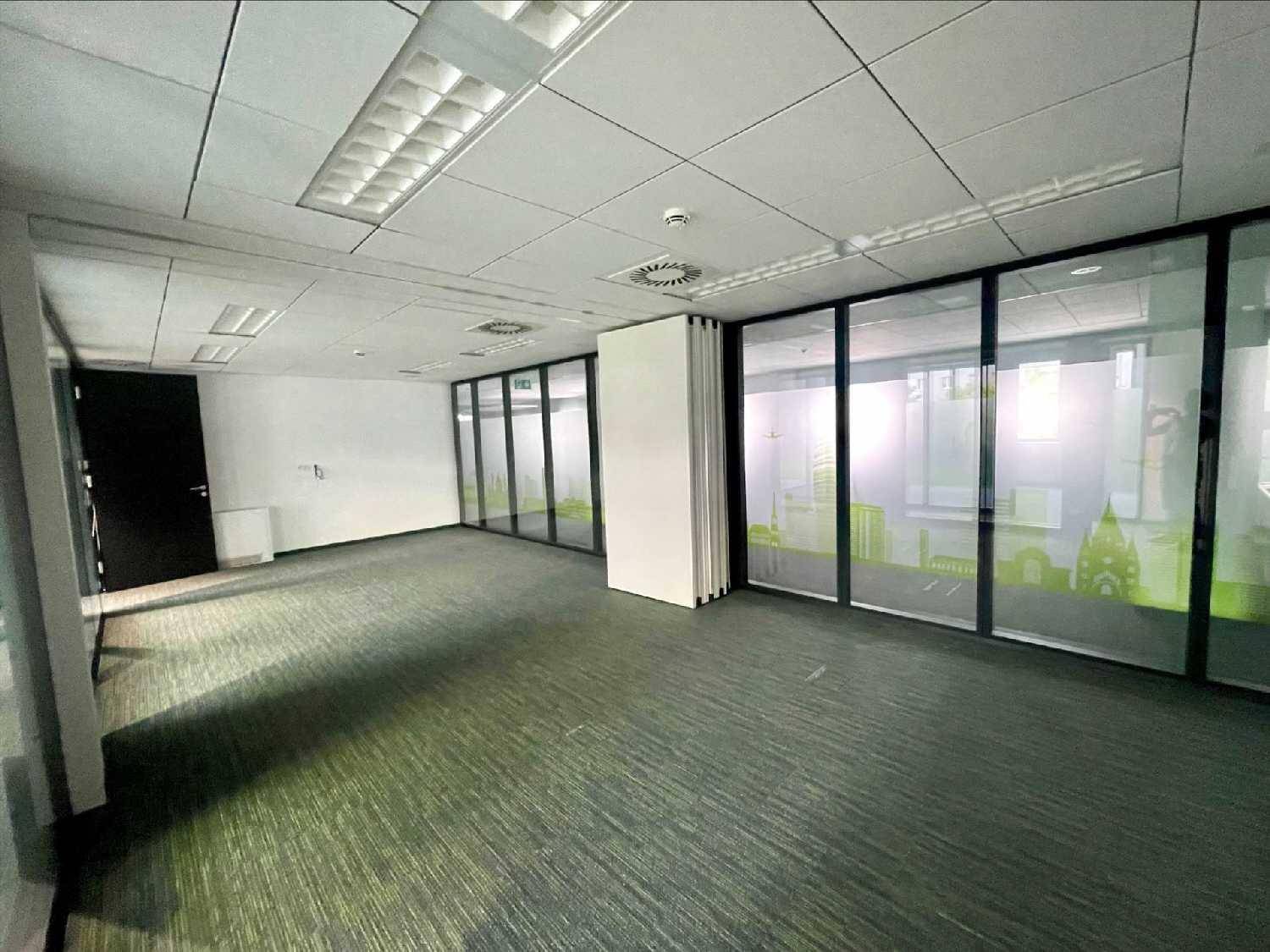 Bürofläche mit Teppichboden, Glaswänden und modularen Trennwänden.