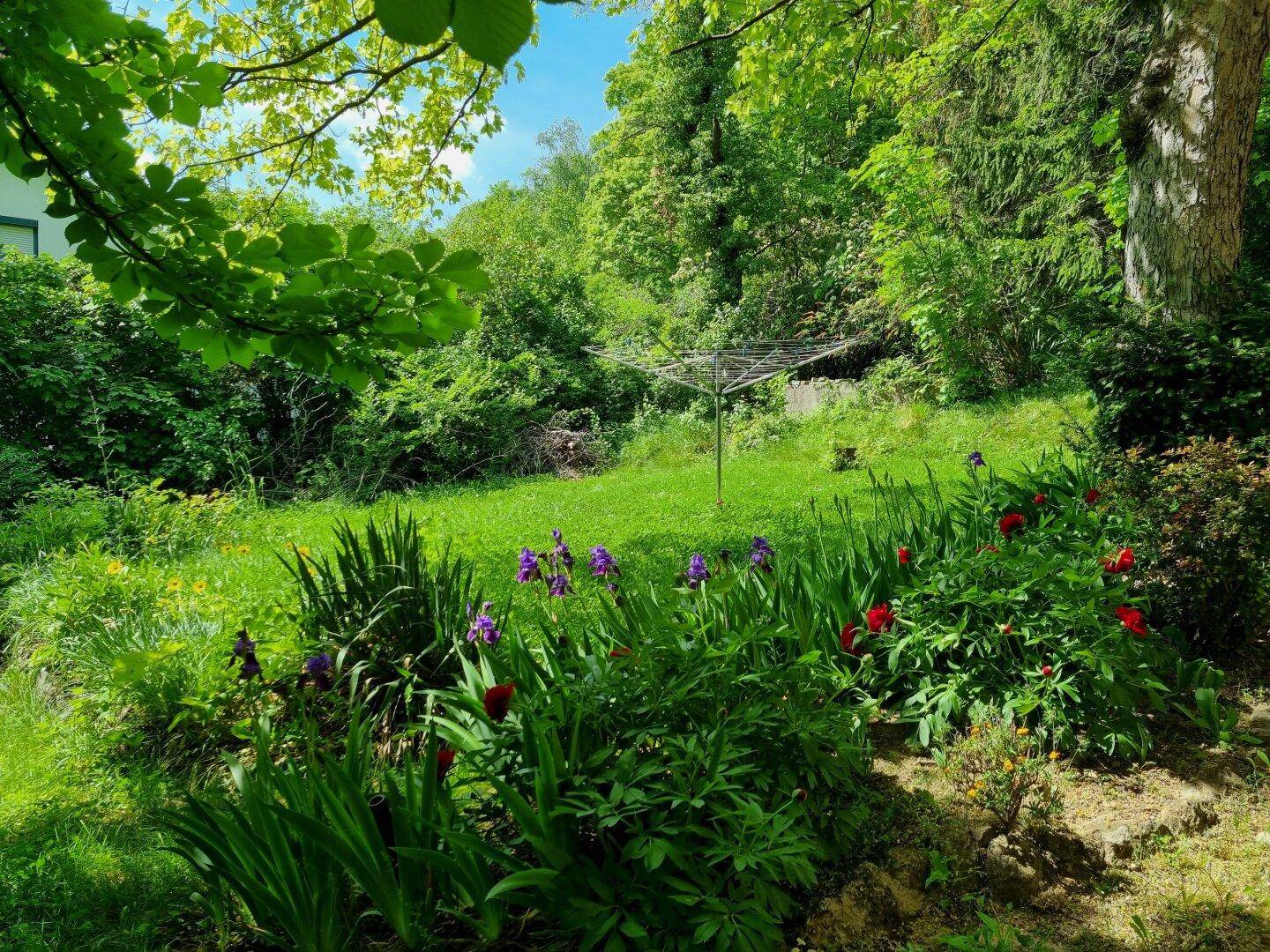 Üppiger Garten mit Blumenbeeten, Rasenfläche und Wäscheleine, umgeben von Bäumen.