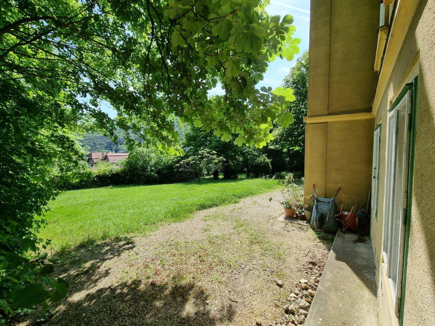 Grüner Gartenbereich neben dem Gebäude mit Rasenfläche und Bäumen unter blauem Himmel.