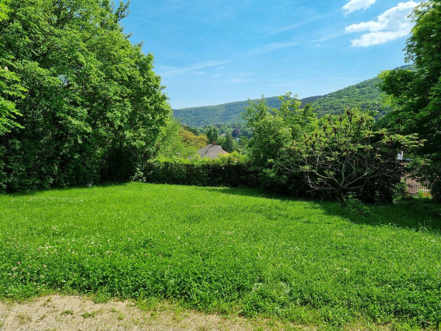 Weitläufige Rasenfläche im Garten mit Blick auf die hügelige Landschaft und Bäume.