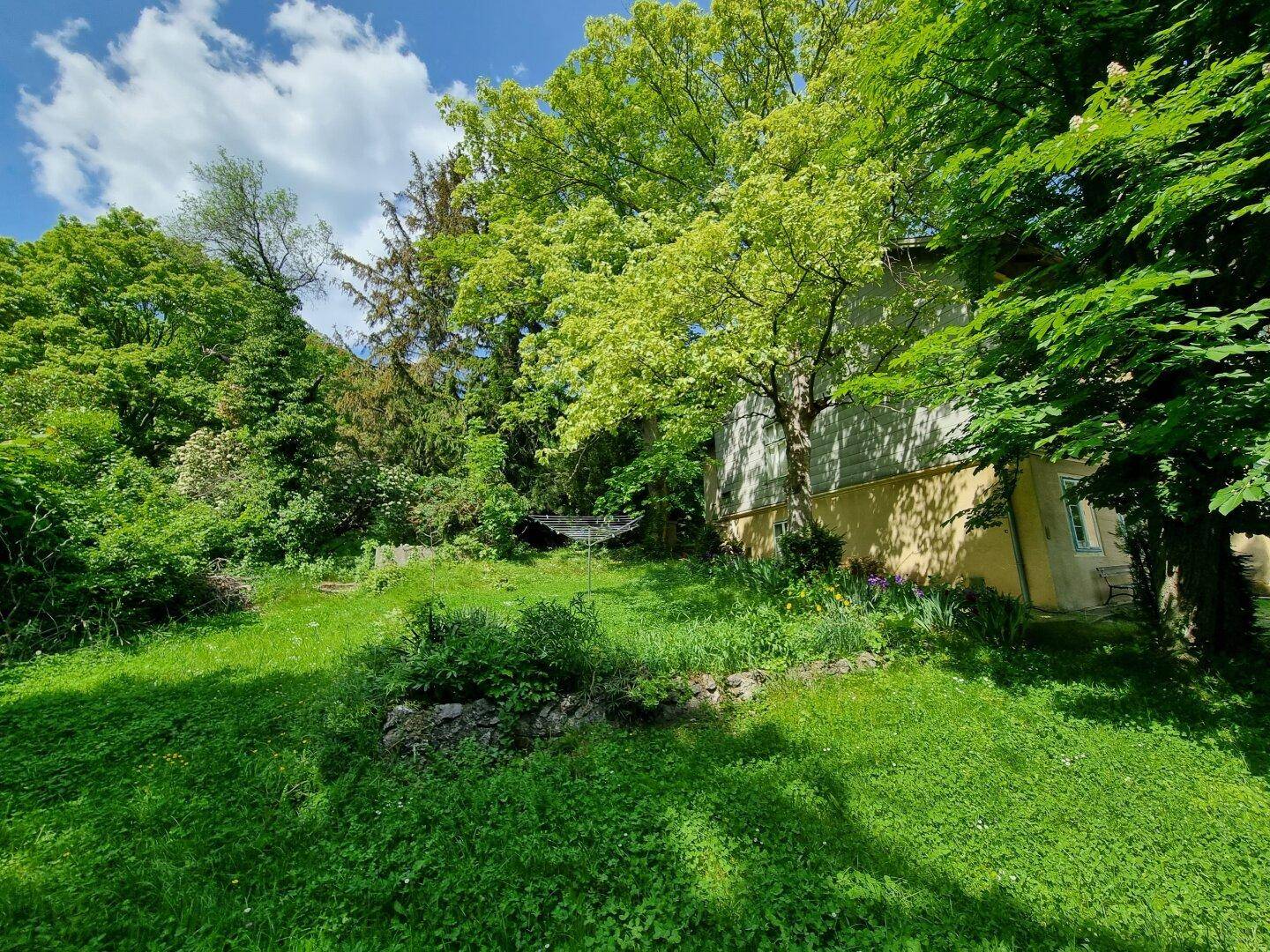 Grüner Gartenbereich neben dem Gebäude mit Rasen und Bäumen, sonnige Atmosphäre.