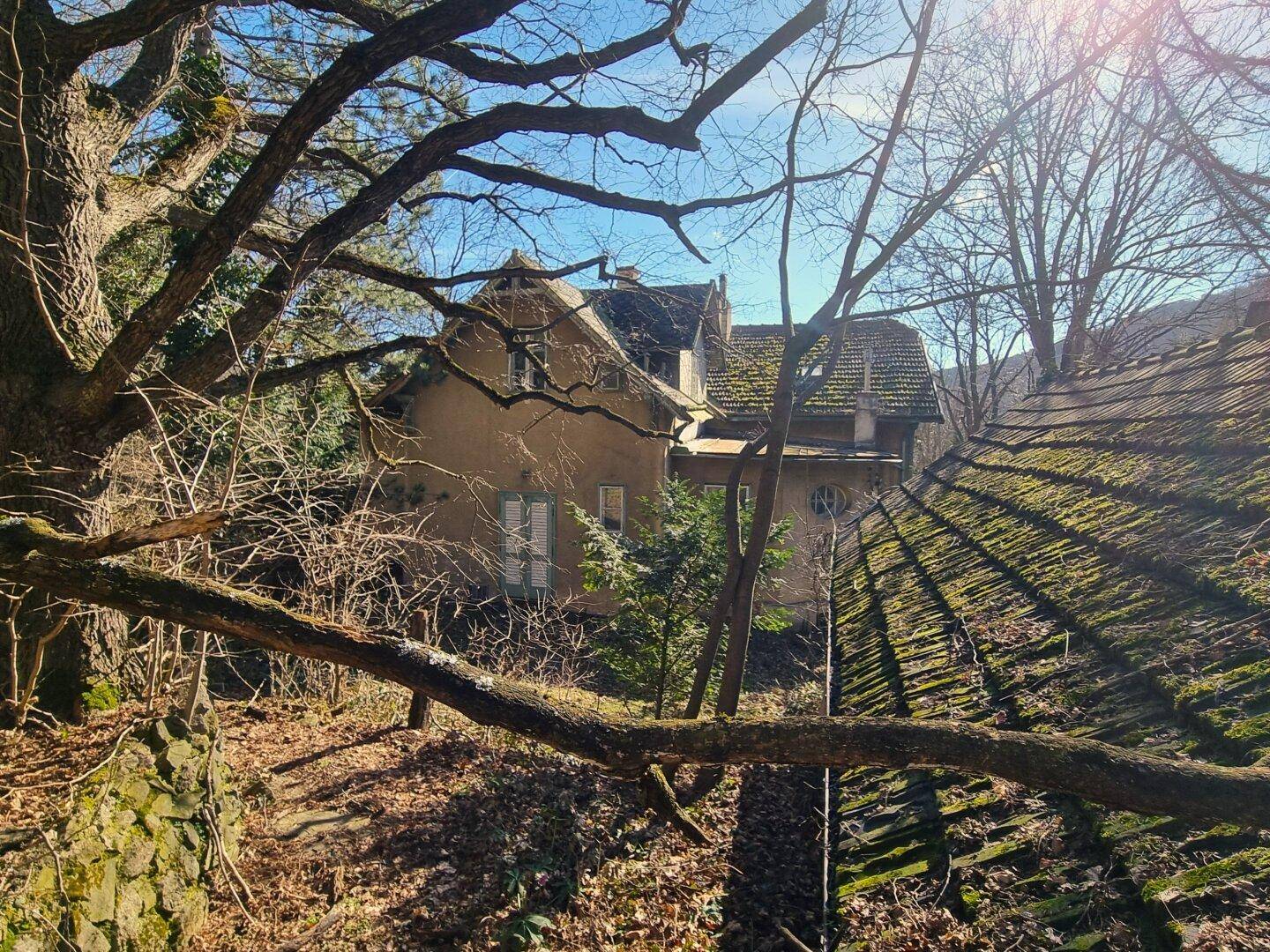 Historisches Gebäude versteckt hinter Bäumen, mit moosbewachsenem Dach und sonnigem Himmel.