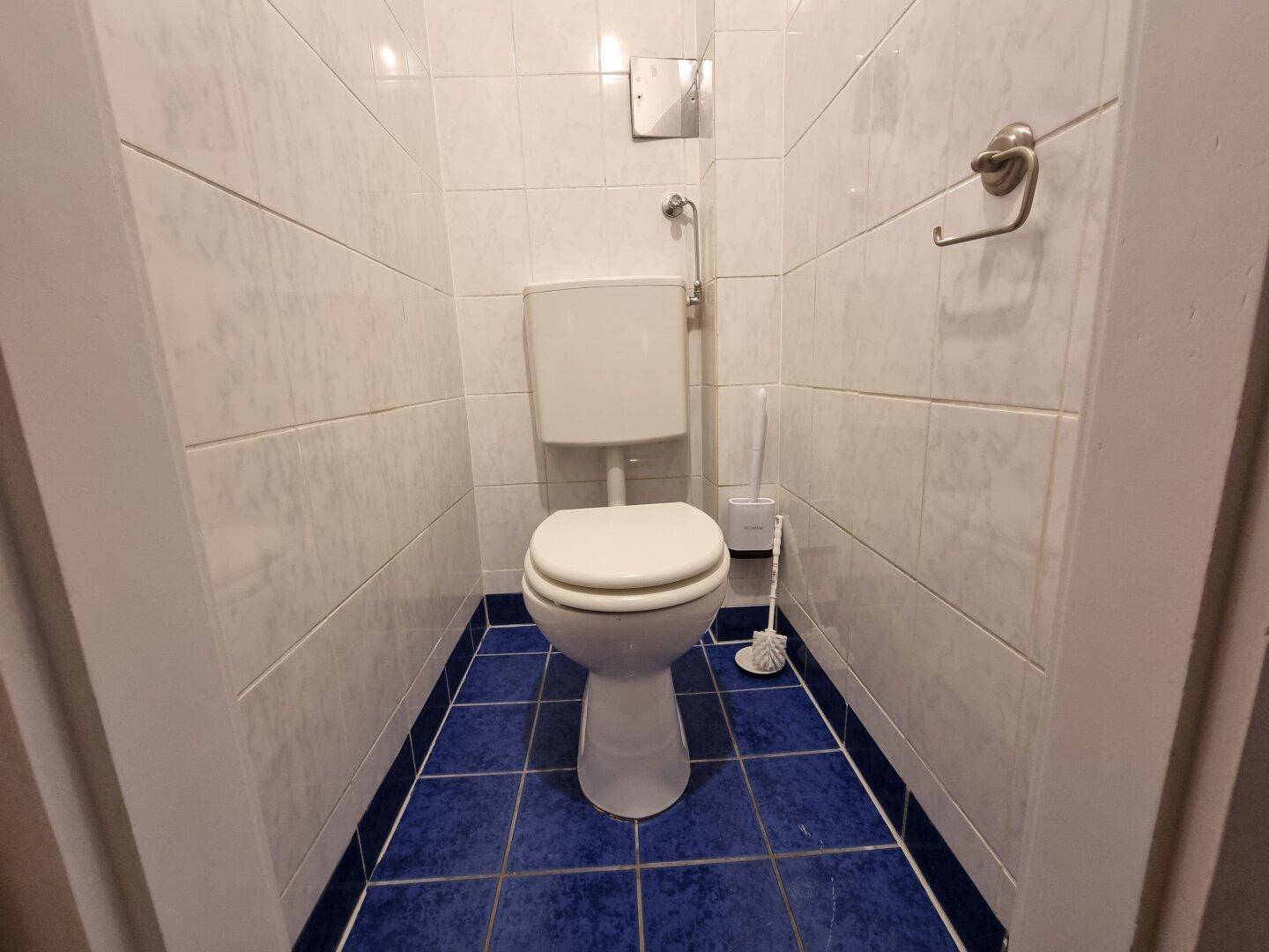 Separates WC mit weißen Wandfliesen und blauen Bodenfliesen, ausgestattet mit einer Toilette.