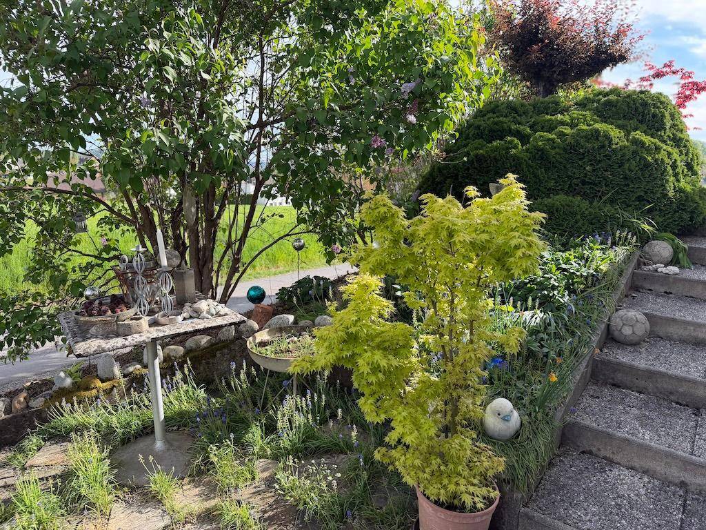 Gepflegter Garten mit verschiedenen Pflanzen, Steinstufen und dekorativen Elementen.