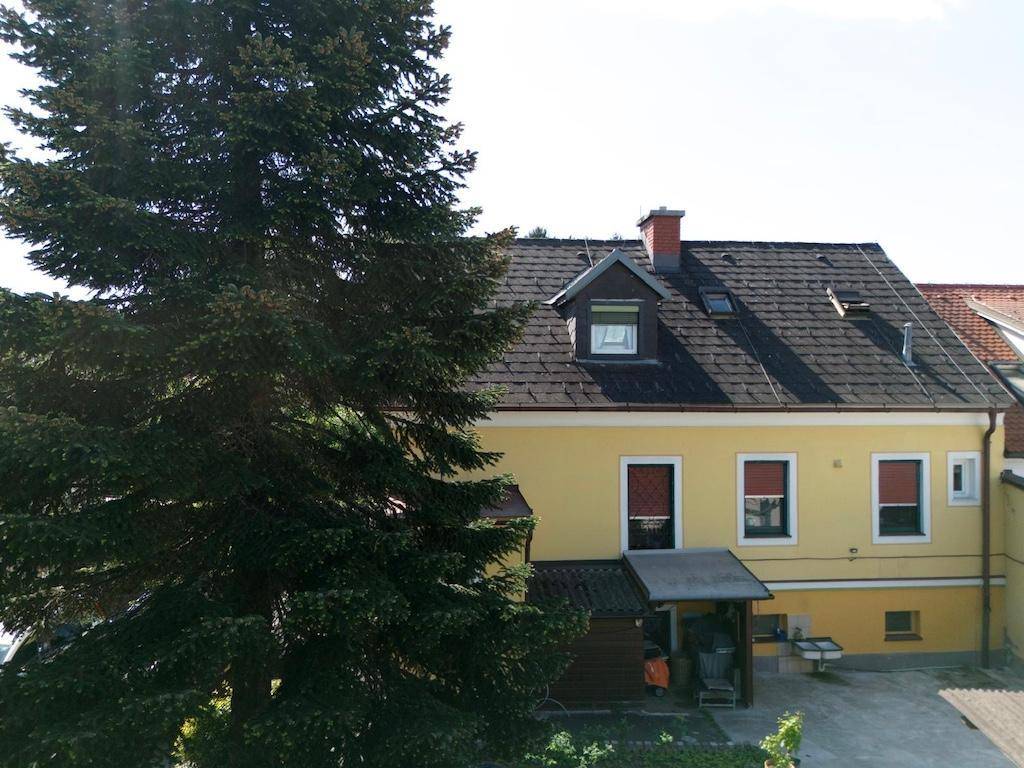Rückseite des gelben Hauses mit Dachgaube, Schuppen und großem Baum.