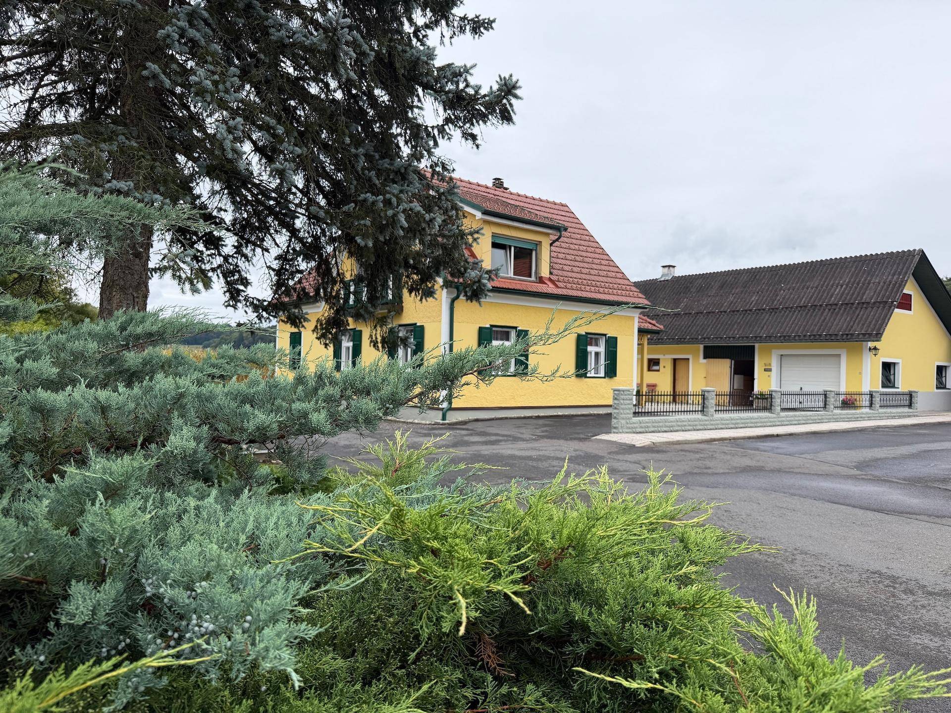 Blick auf das Anwesen durch grüne Büsche, mit gelben Gebäuden und einem gepflasterten Bereich.