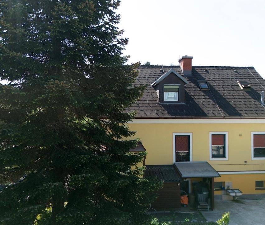 Rückseite des gelben Hauses mit Dachgaube, Schuppen und großem Baum.