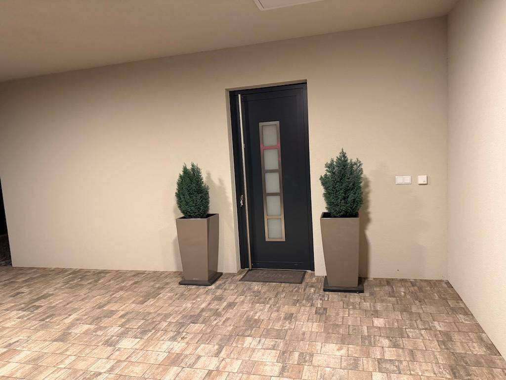Moderne Eingangstür in dunklem Design, umrahmt von dekorativen Pflanzen in hohen Pflanzkübeln.