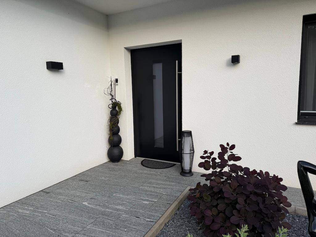 Moderner Eingangsbereich des Hauses mit dunkler Tür, Außenbeleuchtung und dekorativen Pflanzen.