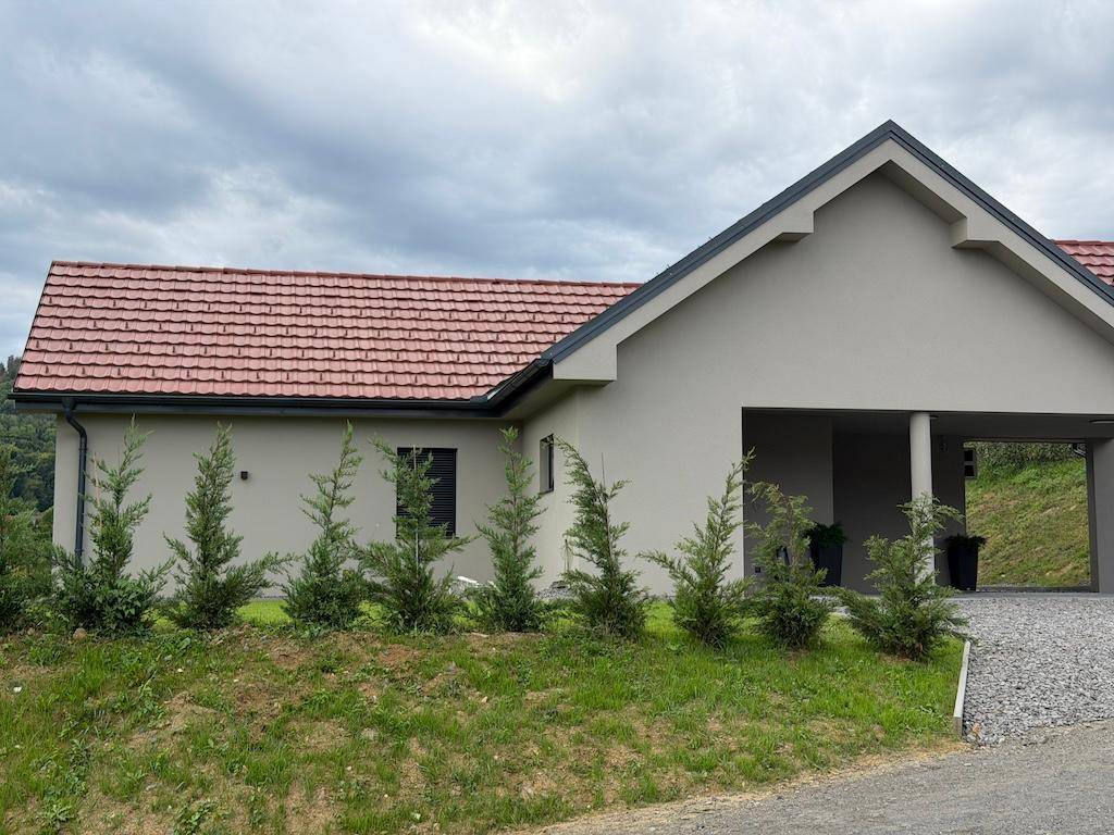Vorderansicht des Hauses mit jungen Bäumen im Vorgarten und Carport unter bewölktem Himmel.
